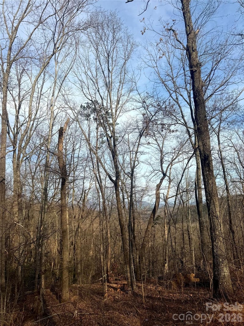 Peartree Dr, Lake Lure, NC 28746