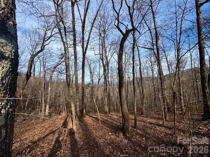 Peartree Dr, Lake Lure, NC 28746
