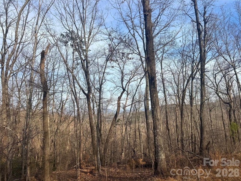 Peartree Dr, Lake Lure, NC 28746