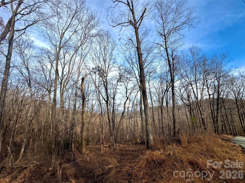 Peartree Dr, Lake Lure, NC 28746