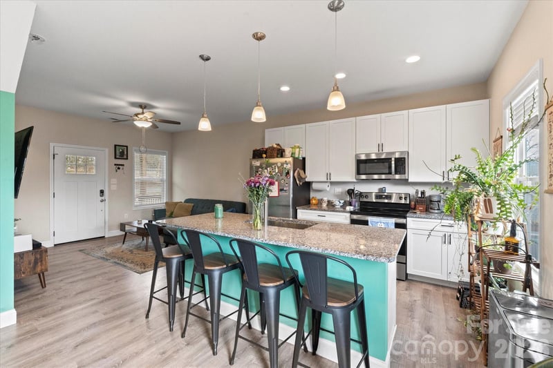 239 Northside St, Canton, NC 28716