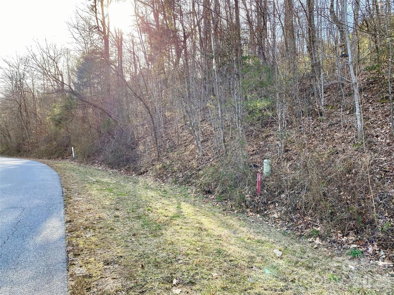 174 High Road Overlook None #24, Hendersonville, NC 28739