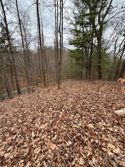 201 Glen Valley Dr, Weaverville, NC 28787