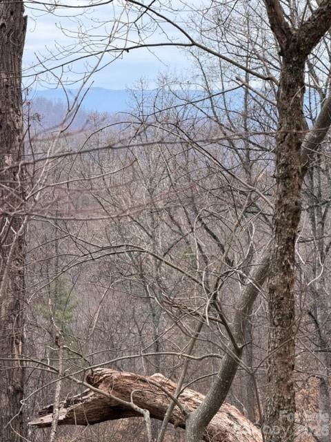 201 Glen Valley Dr, Weaverville, NC 28787