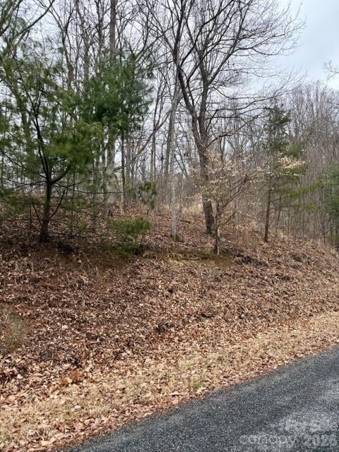 201 Glen Valley Dr, Weaverville, NC 28787