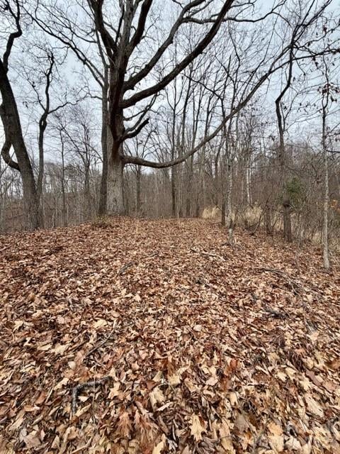 201 Glen Valley Dr, Weaverville, NC 28787