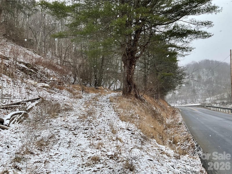 0000 Nc Hwy 197 Hw, Green Mountain, NC 28740