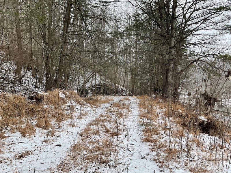 0000 Nc Hwy 197 Hw, Green Mountain, NC 28740