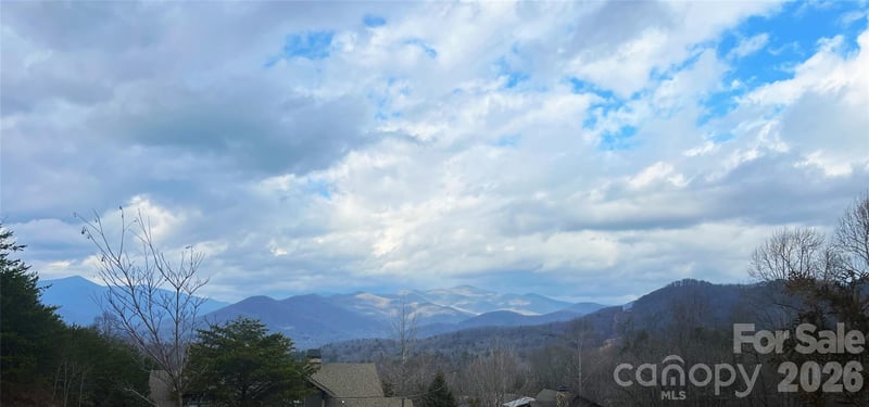 75 Cottage Settings Ln, Black Mountain, NC 28711