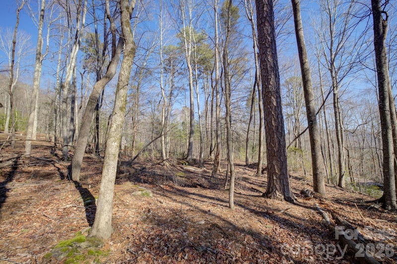 004 High Road Ct #4, Lake Lure, NC 28746