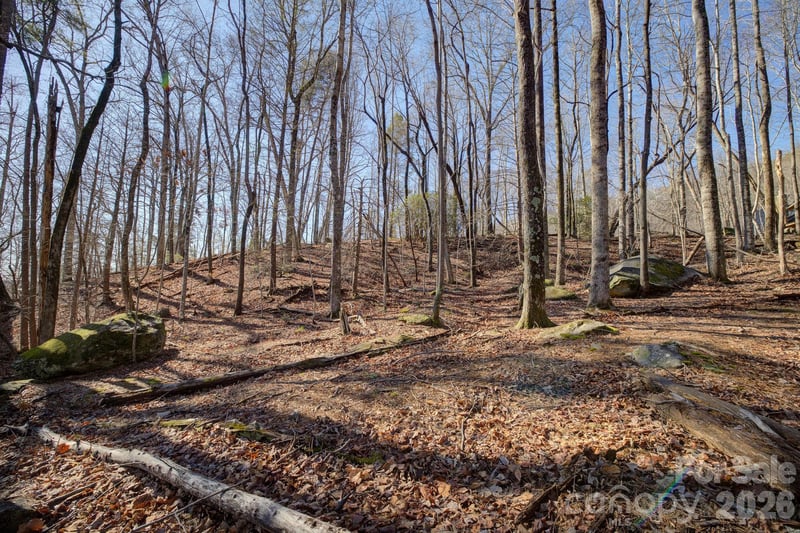004 High Road Ct #4, Lake Lure, NC 28746