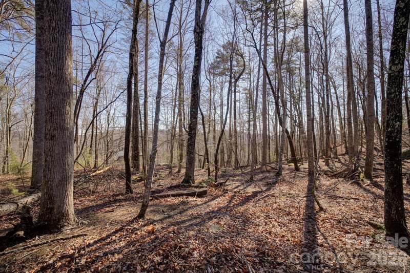 004 High Road Ct #4, Lake Lure, NC 28746