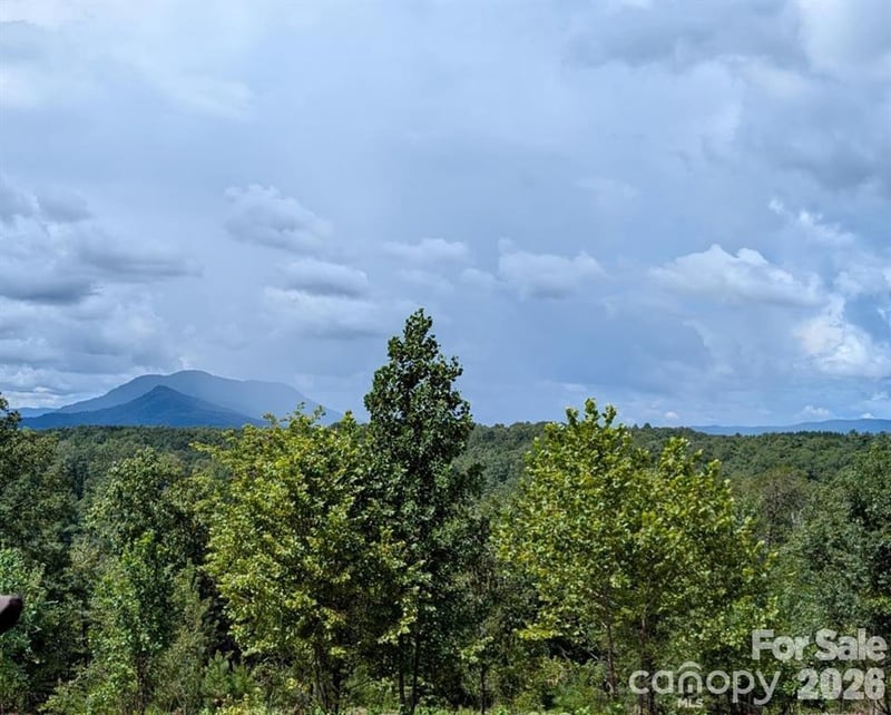 Price Summit Way, Mill Spring, NC 28756