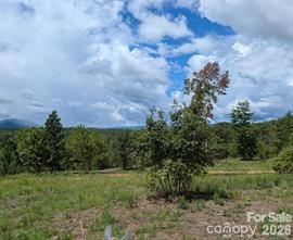 Price Summit Way, Mill Spring, NC 28756