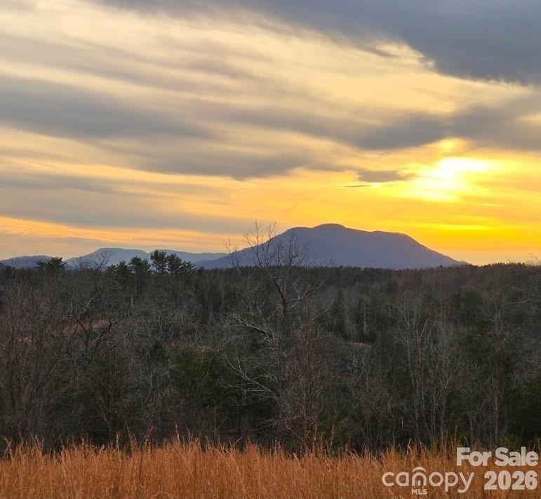 Price Summit Way, Mill Spring, NC 28756