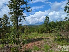 Price Summit Way, Mill Spring, NC 28756