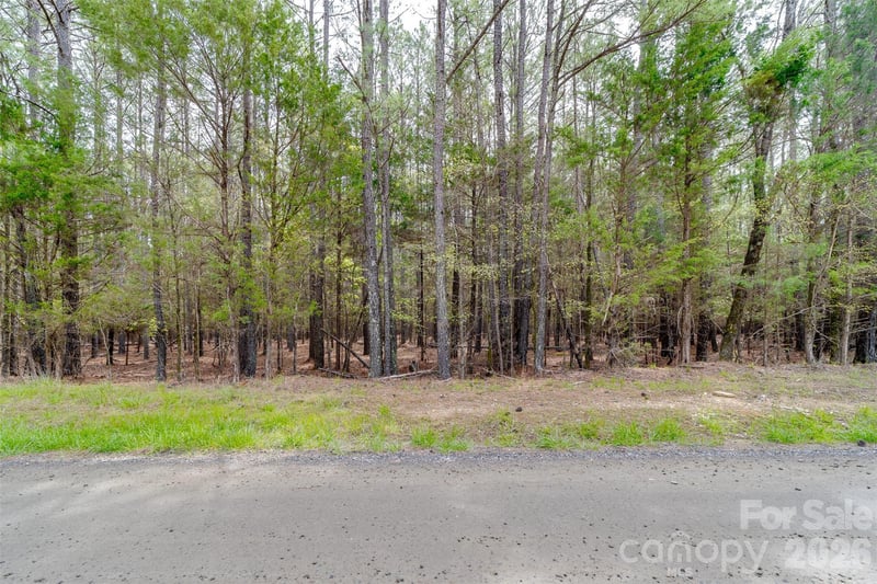 00 Sandlapper Dr #B, York, SC 29745