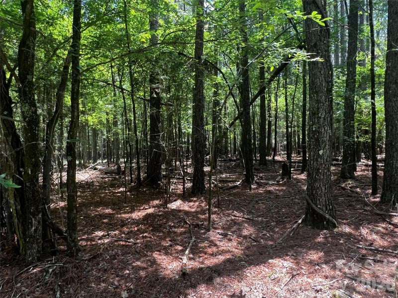 00 Sandlapper Dr #B, York, SC 29745