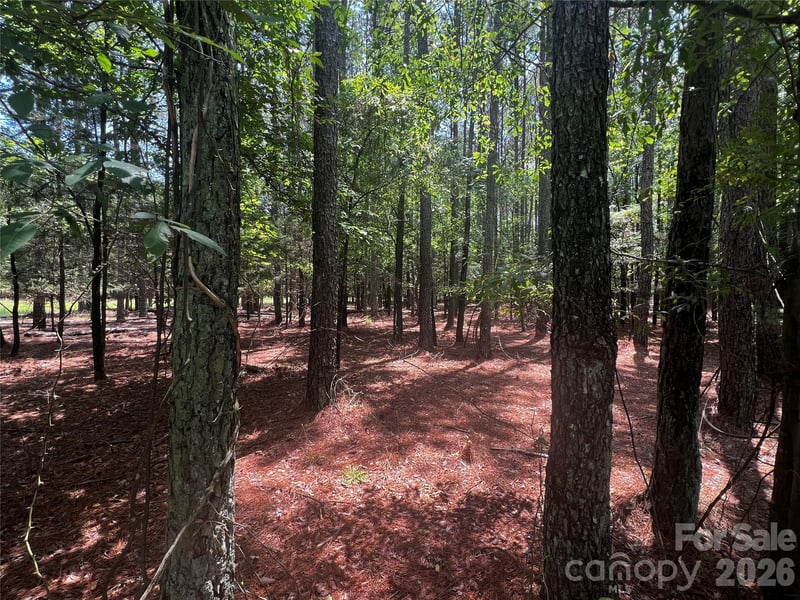 00 Sandlapper Dr #B, York, SC 29745