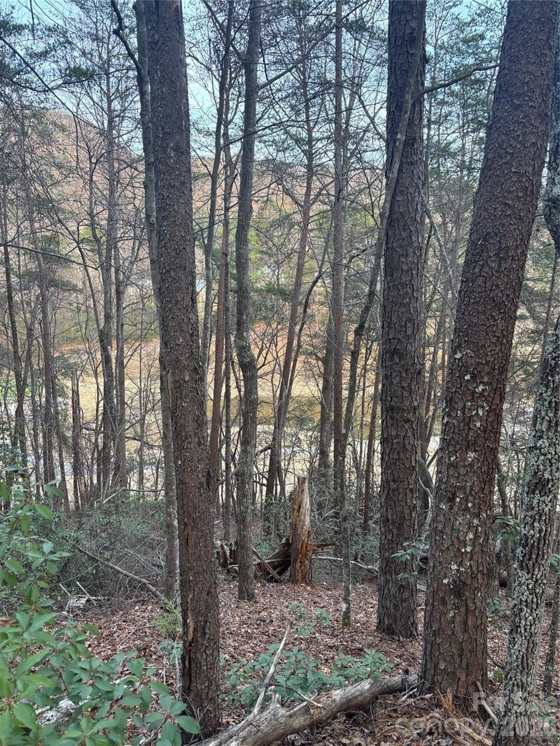 Lot 20 Nicklaus Ln, Lake Lure, NC 28746