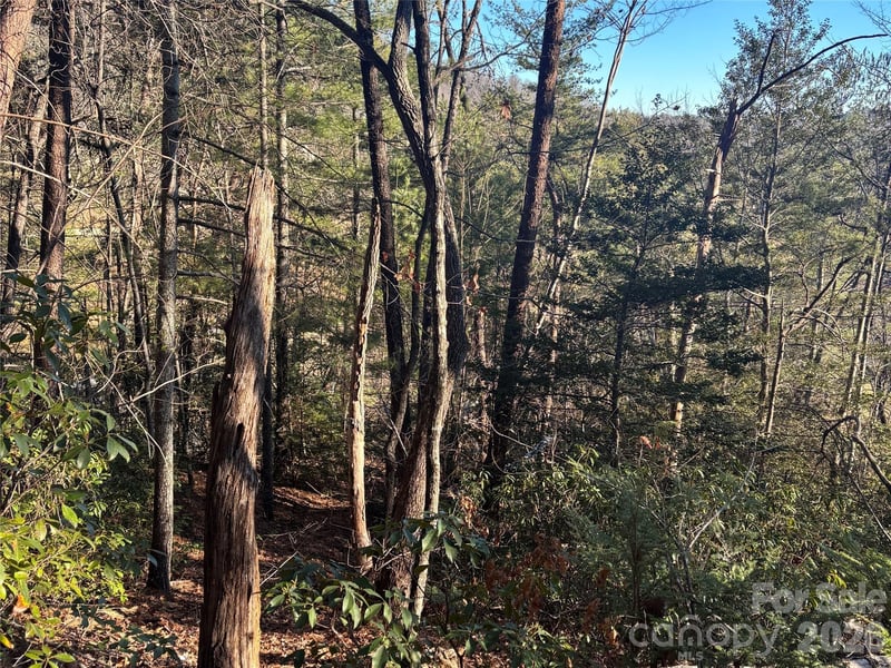 Lot 20 Nicklaus Ln, Lake Lure, NC 28746