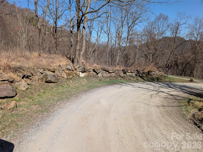 00 Bear Wallow Trl, Canton, NC 28716