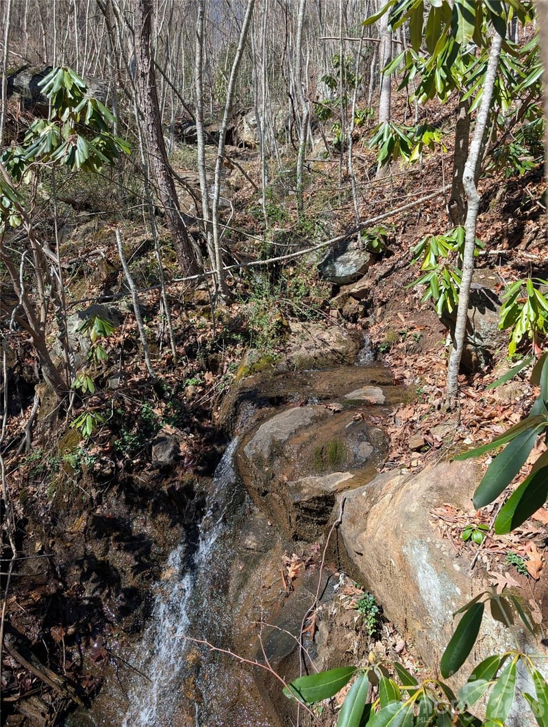 00 Bear Wallow Trl, Canton, NC 28716