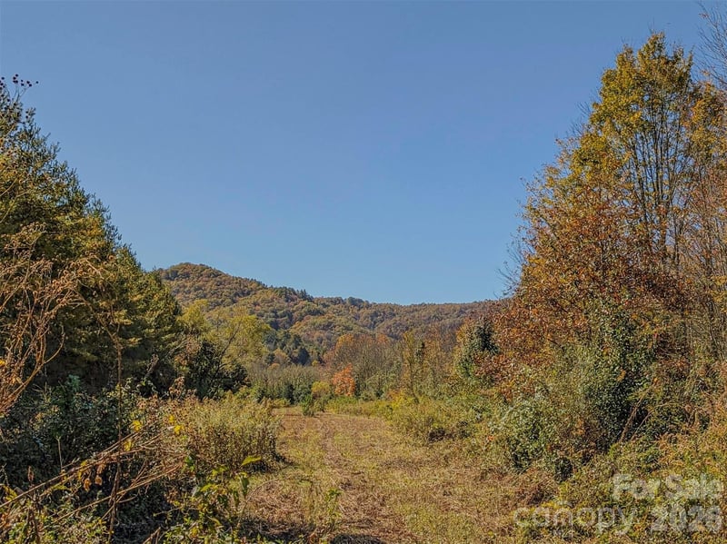 TBD Hart Rd, Pisgah Forest, NC 28768