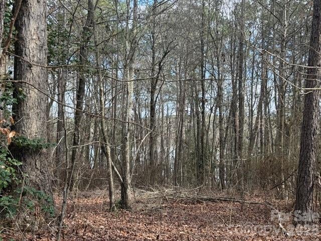 Lot 18 Sanctuary Ln, Lilesville, NC 28091