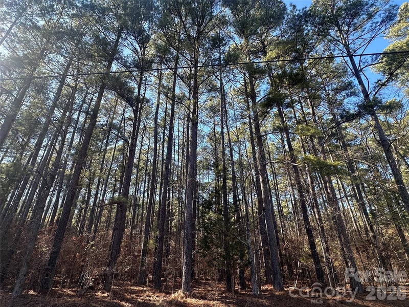 2410 Summerville Church Rd, Denton, NC 27239