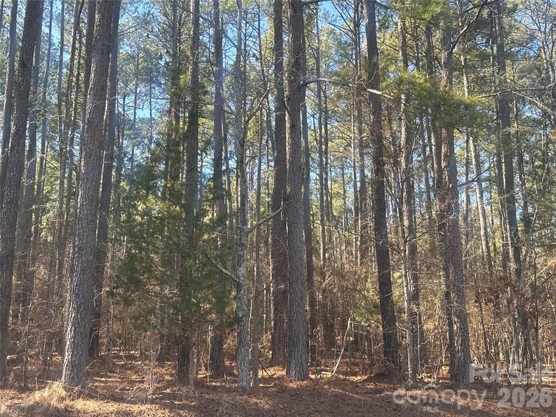 2410 Summerville Church Rd, Denton, NC 27239