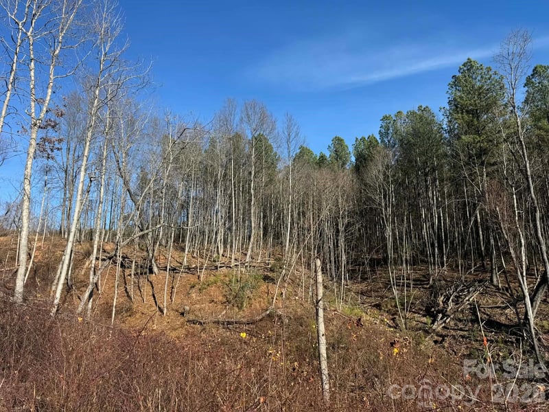 TBD Old Railroad Grade Rd, Thurmond, NC 28683