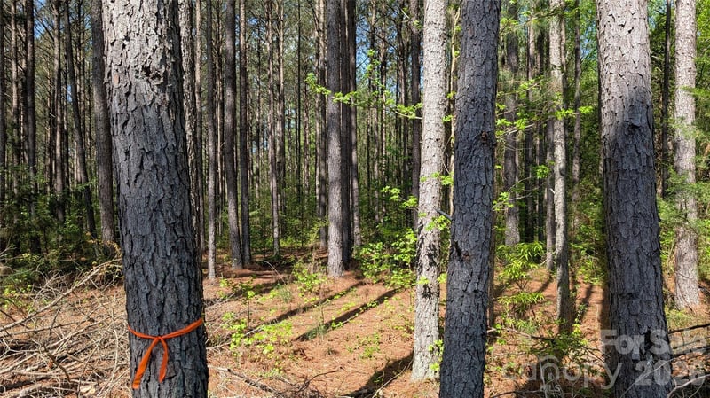 TBD Boyd Rd, Blackstock, SC 29014
