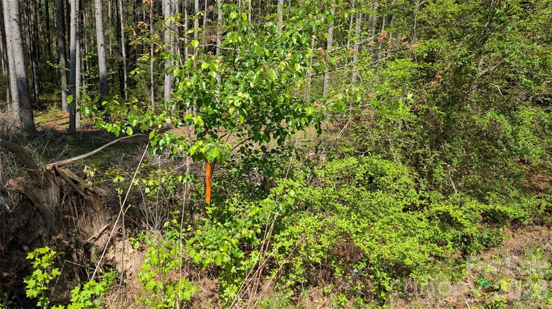 TBD Boyd Rd, Blackstock, SC 29014