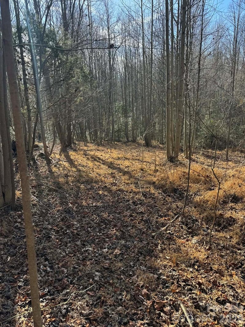 001 Rock Creek Church Rd, North Wilkesboro, NC 28659