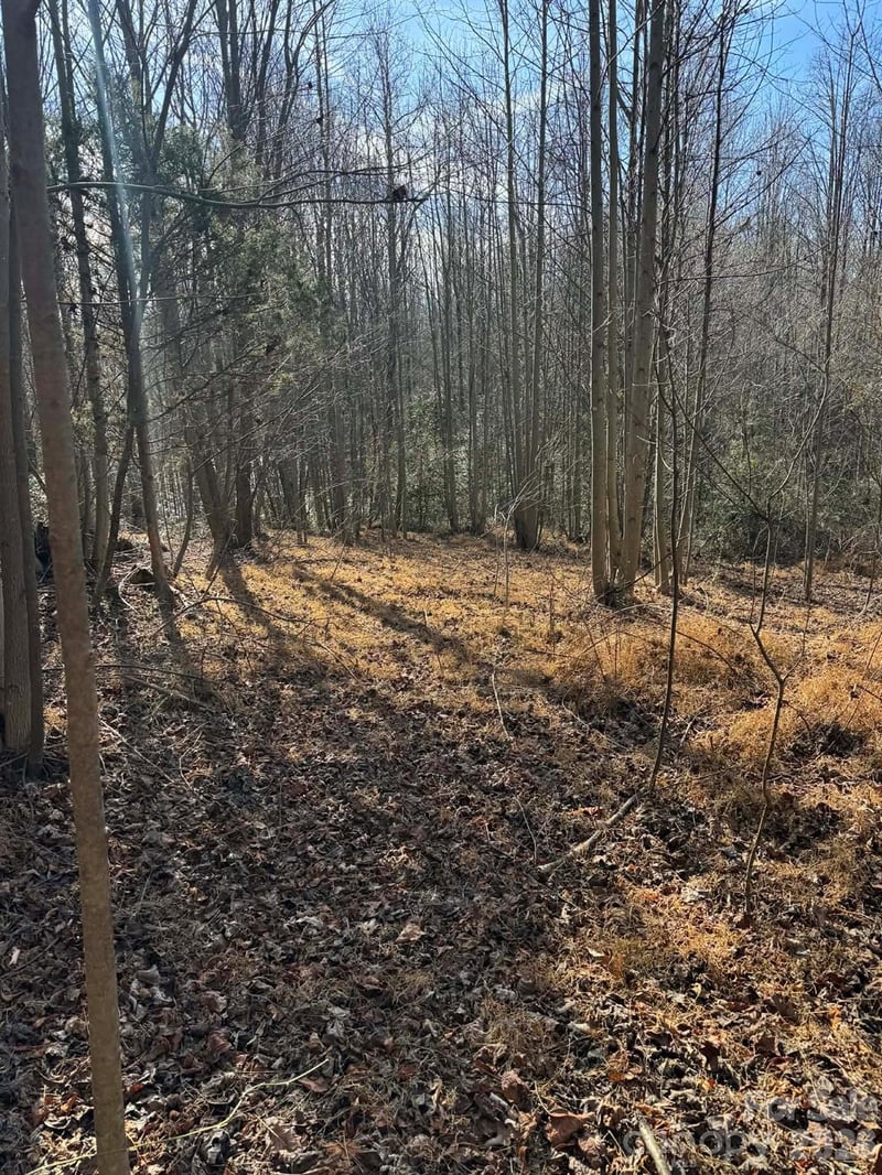 001 Rock Creek Church Rd, North Wilkesboro, NC 28659