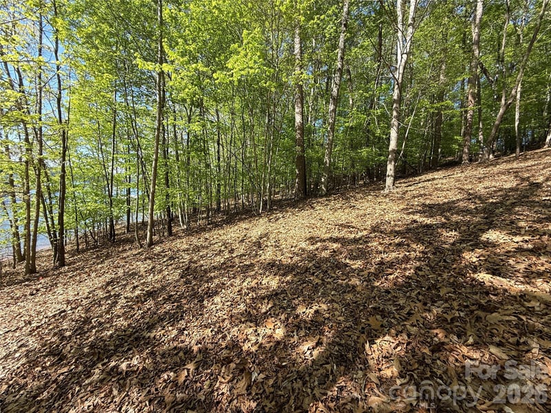 163 High Lake Dr, Statesville, NC 28677