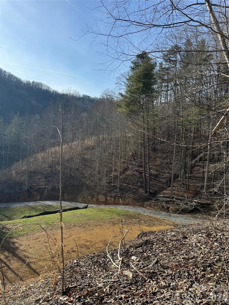 890 Fisher Branch Rd, Marshall, NC 28753