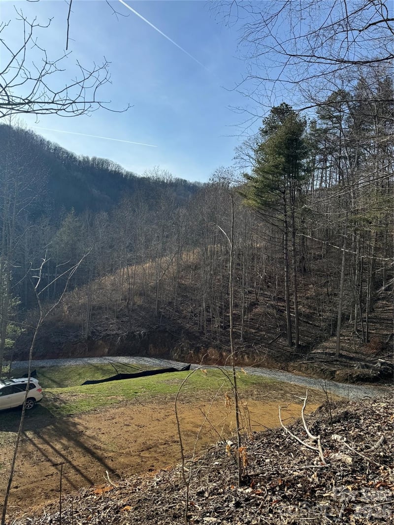 890 Fisher Branch Rd, Marshall, NC 28753