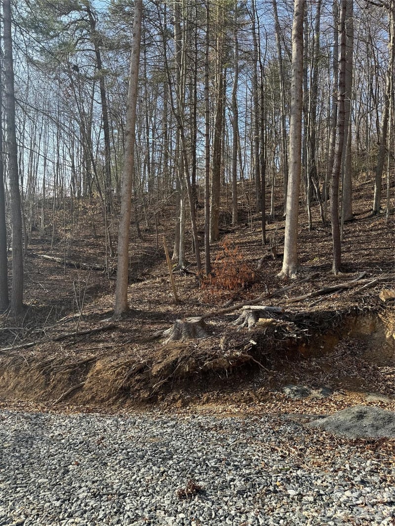 890 Fisher Branch Rd, Marshall, NC 28753