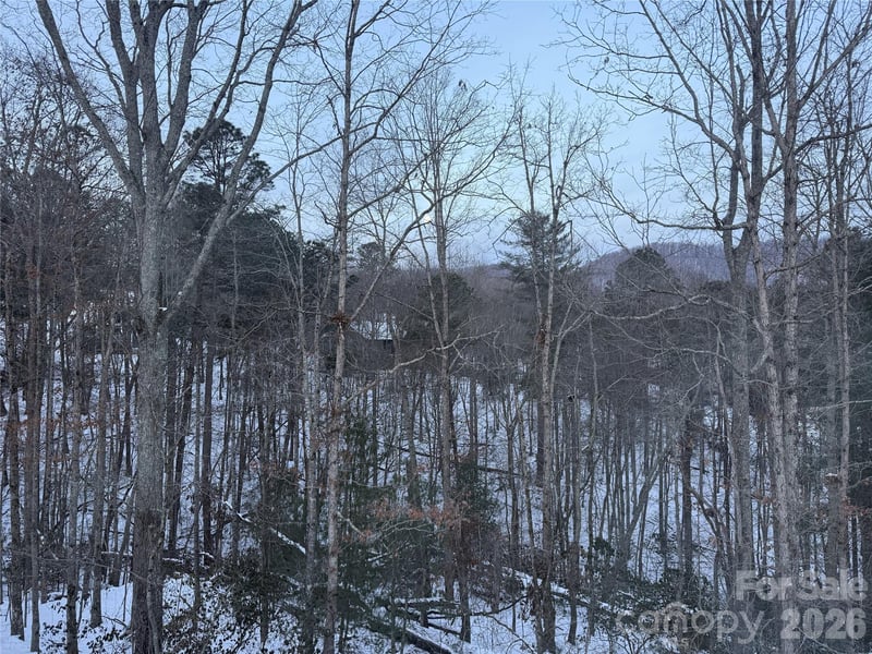 99999 Pole Creasman Rd, Asheville, NC 28806