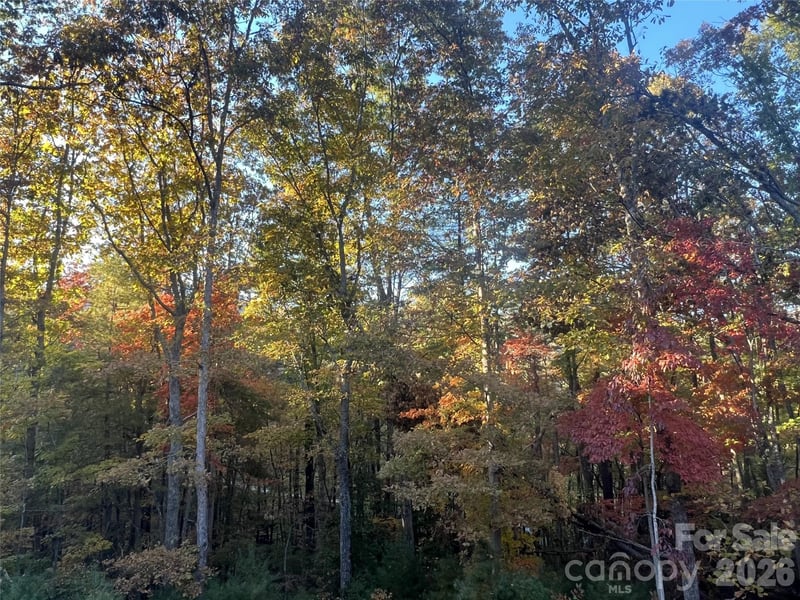 99999 Pole Creasman Rd, Asheville, NC 28806