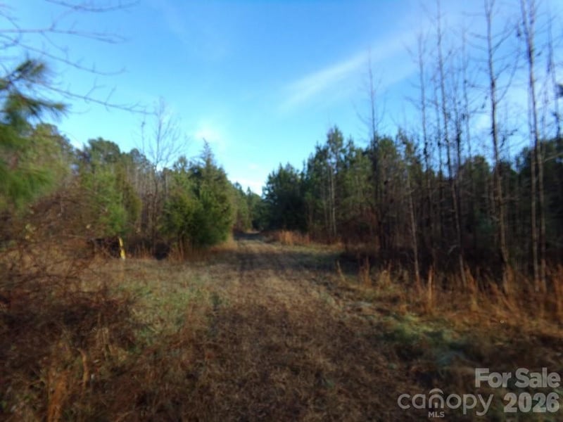 104 Ac Cedarhurst Rd, Chester, SC 29706