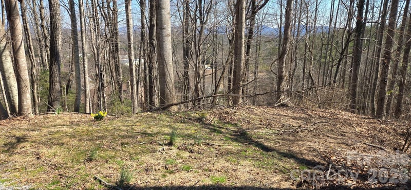 85 Shinnecock Dr #7, Mills River, NC 28759