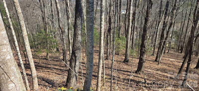 85 Shinnecock Dr #7, Mills River, NC 28759