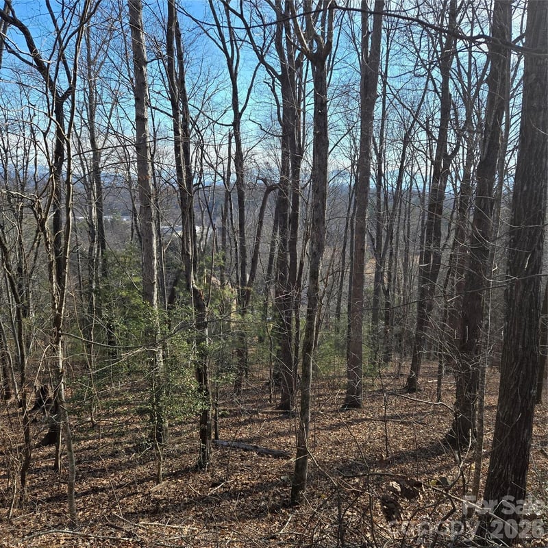 85 Shinnecock Dr #7, Mills River, NC 28759