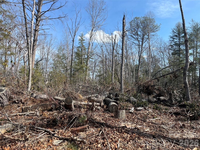 19 Laurel Loop Rd, Fairview, NC 28730