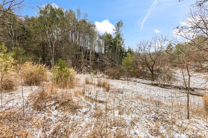 TBD Lower White Oak Rd, Marshall, NC 28753