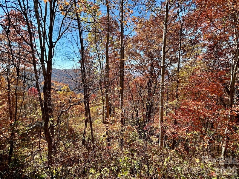Grizzly Rg #57, Bryson City, NC 28713