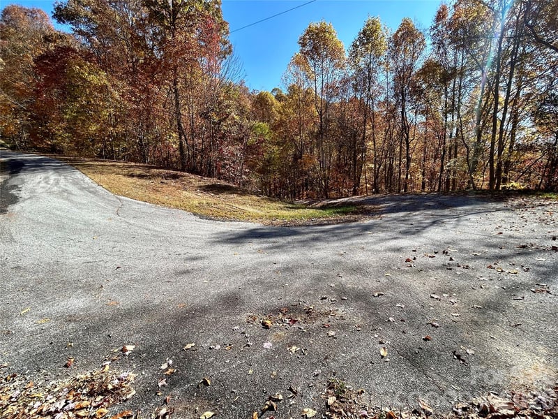Grizzly Rg #57, Bryson City, NC 28713